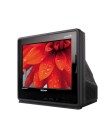 Foto TV CRT (Tubo) Semp Toshiba 14" 1454SL